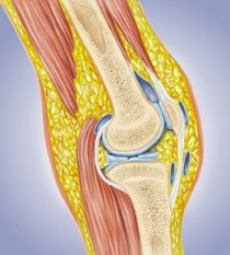 Brecon Knitting Mill, Medical Orthopedic Stockinet Manufacturer